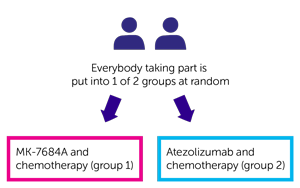KeyVibe-008 trial randomisation diagram