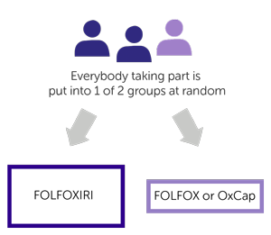 FOXTROT 3 trial randomisation diagram 