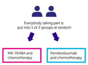 KEYVIBE-007 trial randomisation diagram