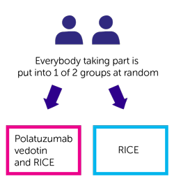 Pola-R-ICE trial randomisation diagram