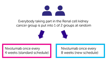 REFINE trial randomisation diagram