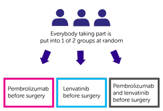 PRIMER-1 trial randomisation diagram