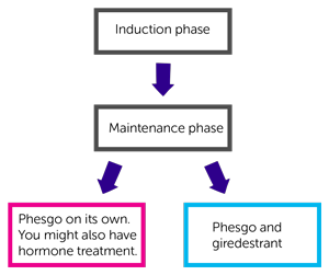 Flow Chart 1