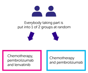 LEAP trial diagram