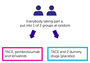 (LEAP-012)- Randomisation 