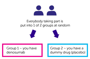 BRCA-P trial randomisation diagram
