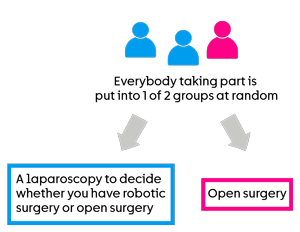 MIRROR-RCT Randomisation