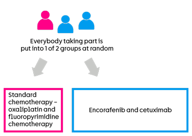 FOXTROT4 trial diagram