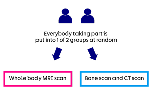 WISER-P trial diagram
