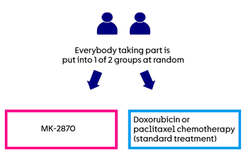 MK-2870-005- Randomisation
