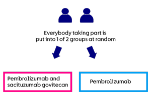 KEYNOTE D46/EVOKE-03 trial randomisation diagram