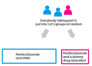 mRNA-4157 - Randomisation 