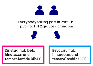 BEACON 2 - Trial diagram