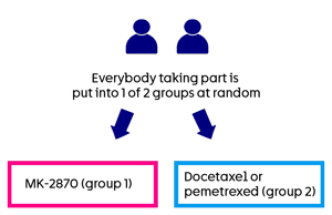 MK-2870- Randomisation