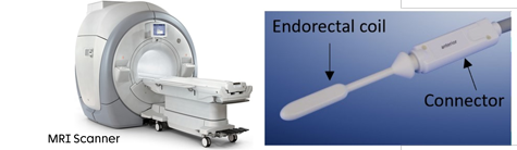 MRI scanner and coil