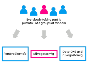 TROPION-Lung10 - Randomisation 