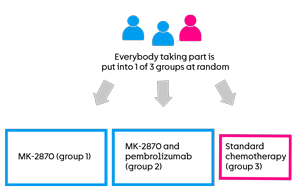 MK-2870-010 trial randomisation diagram