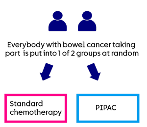 PICCOS - trial diagram