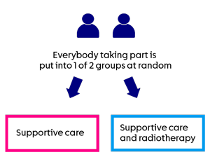 QUARTZ LUNG - trial diagram