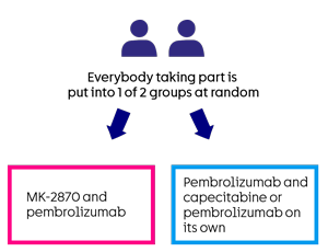 MK-2870-012 - Trial diagram