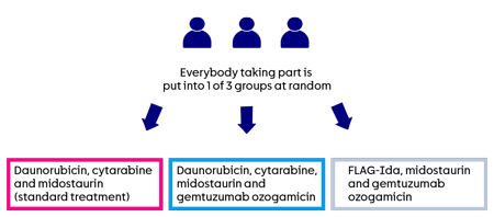 OPTIMISE-FLT3 trial randomisation diagram