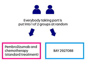22615 - trial diagram