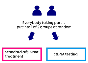 DETECTION-2 - trial diagram