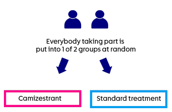CAMBRIA-1 - trial diagram
