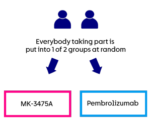  MK3475A-F84 trial diagram