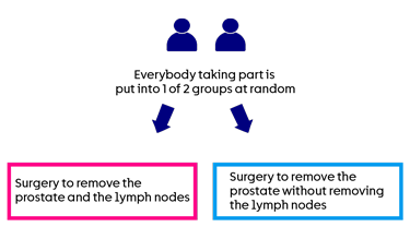 ELIPSE - trial diagram