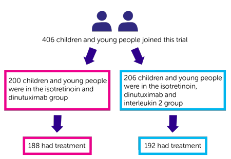 NB 2002 06 trial randomisation diagram