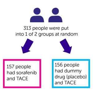 TACE 2 diagram