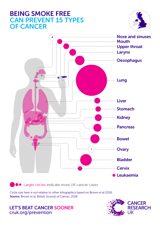 An infographic showing the cancers caused by smoking