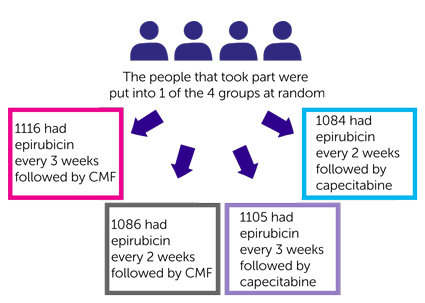 study diagram