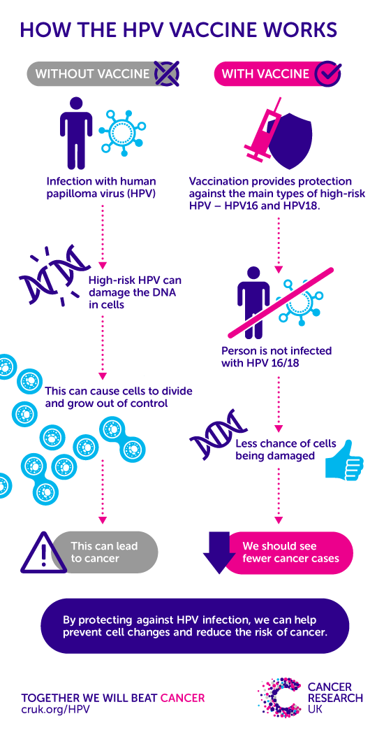 hpv rák uk condyloma egy vakondon