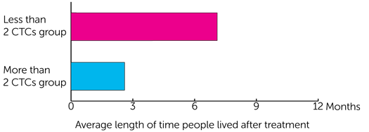 study diagram