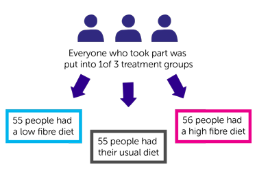 Trial Diagram