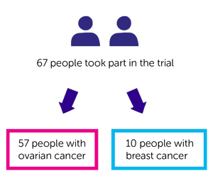 6MP-BRCA trial randomisation diagram