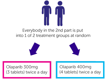 A trial of olaparib for prostate cancer that has spread and has got ...