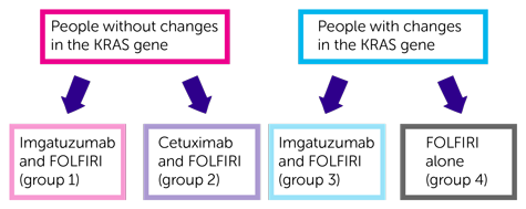 Trial Diagram