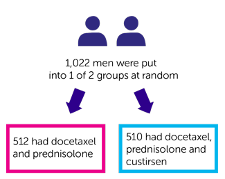 SYNERGY Trial Diagram 
