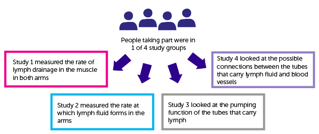 study diagram