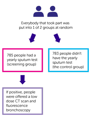 LungSEARCH randomisation diagram