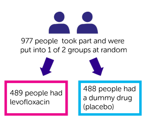 TEAMM Study Diagram