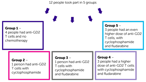 1RG-CART trial randomisation diagram