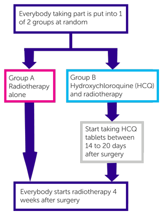 Trial diagram