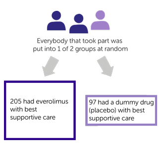 study diagram