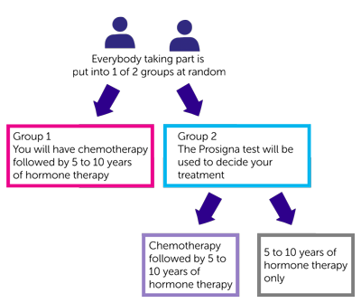 OPTIMA trial diagram