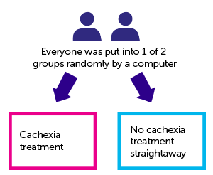pre MENAC Study Diagram