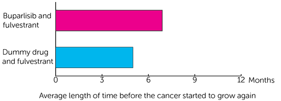BELLE 2 trials diagram